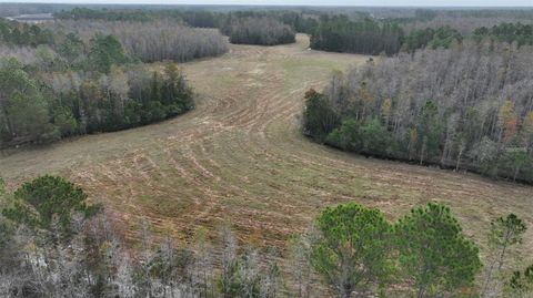 Tiny photo for Berry Groves Rd Drive, Clermont, FL 34714 (MLS # L4949248)