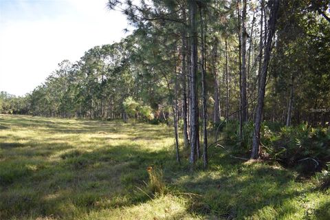 Tiny photo for Berry Groves Rd Drive, Clermont, FL 34714 (MLS # L4949248)