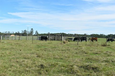 Tiny photo for Berry Groves Rd Drive, Clermont, FL 34714 (MLS # L4949248)