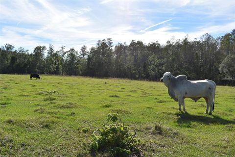 Tiny photo for Berry Groves Rd Drive, Clermont, FL 34714 (MLS # L4949248)