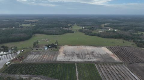 Tiny photo for Berry Groves Rd Drive, Clermont, FL 34714 (MLS # L4949248)