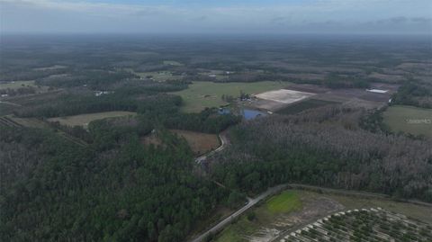 Tiny photo for Berry Groves Rd Drive, Clermont, FL 34714 (MLS # L4949248)
