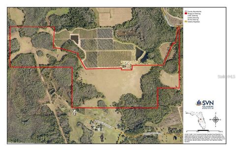 Tiny photo for Berry Groves Rd Drive, Clermont, FL 34714 (MLS # L4949248)