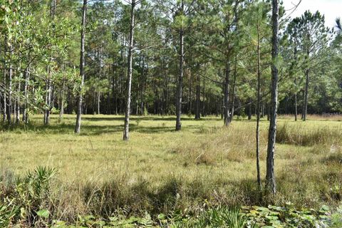 Tiny photo for Berry Groves Rd Drive, Clermont, FL 34714 (MLS # L4949248)