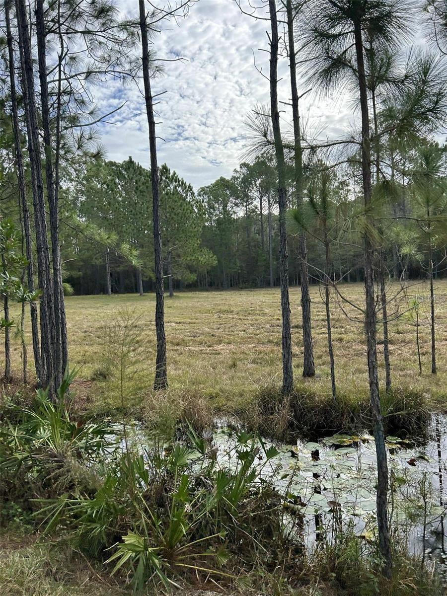 BERRY GROVES RD DRIVE