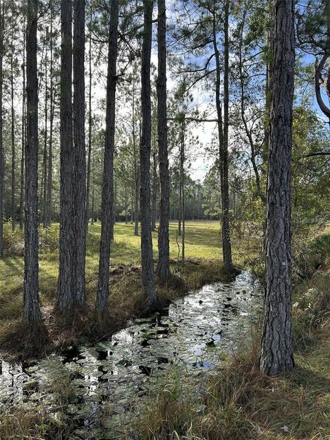 Tiny photo for Berry Groves Rd Drive, Clermont, FL 34714 (MLS # L4949248)