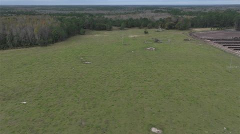 Tiny photo for Berry Groves Rd Drive, Clermont, FL 34714 (MLS # L4949248)