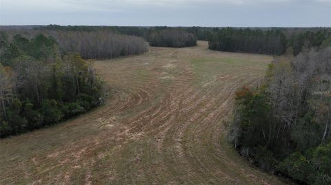 Tiny photo for Berry Groves Rd Drive, Clermont, FL 34714 (MLS # L4949248)
