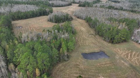 Tiny photo for Berry Groves Rd Drive, Clermont, FL 34714 (MLS # L4949248)