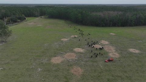 Photo of Berry Groves Rd Drive, Clermont, FL 34714 (MLS # L4949248)