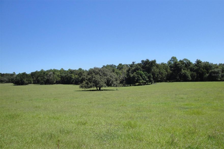 ATTENTION INVESTORS OWNER FINANCING! The property has paved road frontage on two sides Gray's Airport Road & Griffin view Drive. Scattered Granddaddy oaks and rolling pastures makes for TONS of potential!  Currently being used as a cattle farm. Close to Harbor Hills Country Club, The Villages and Lake Griffin for fishing and boating. This 158.83 acres has R-2 zoning and the land use is Rural Transition. The brick pool home on property is being sold as-is and we are not placing any value on the home although with some TLC it could be a nice home.