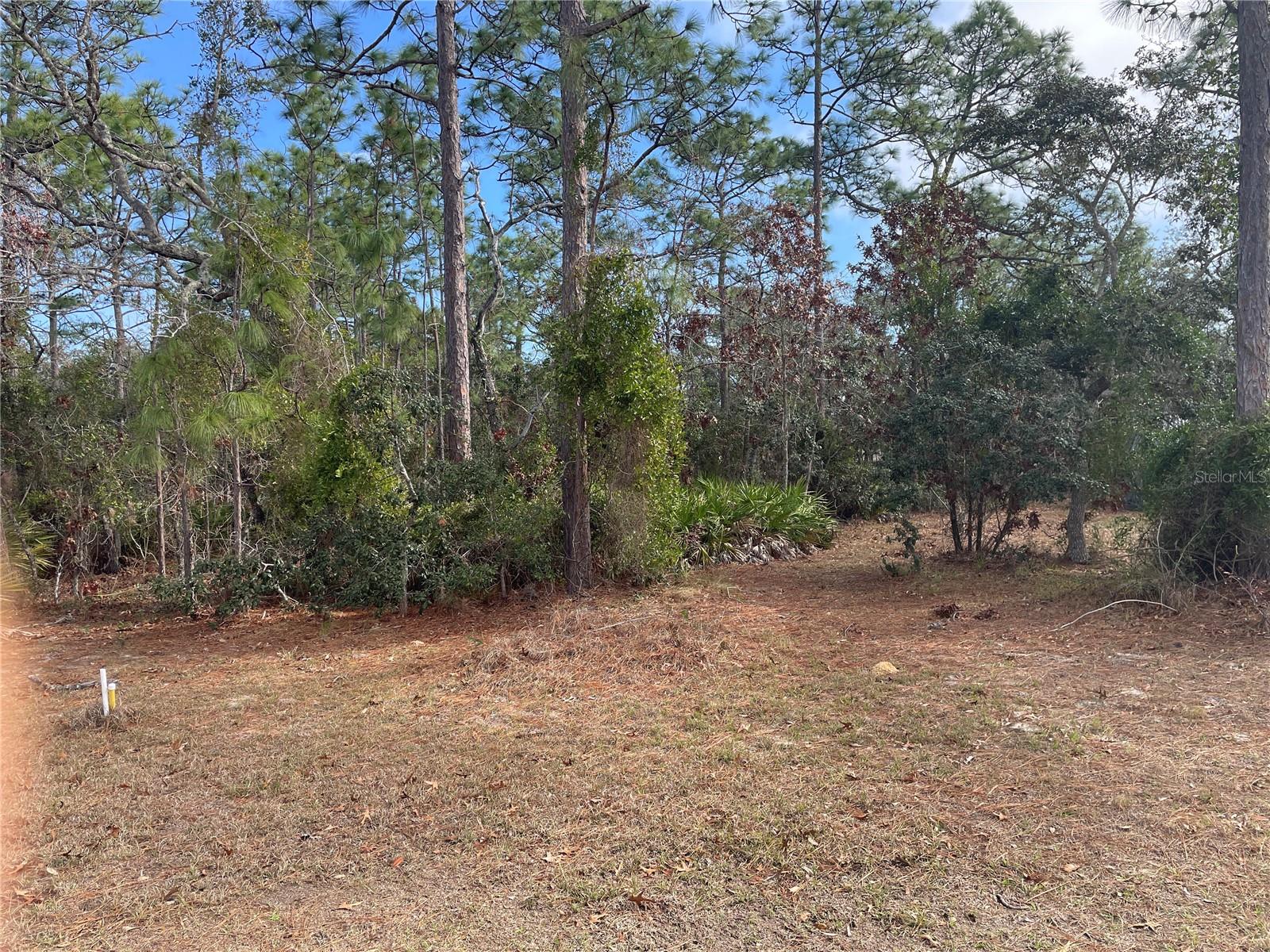 Listing image 7