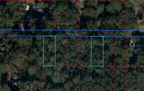 Lot 15 & 19 NW 55 PLACE CHIEFLAND FL 32626