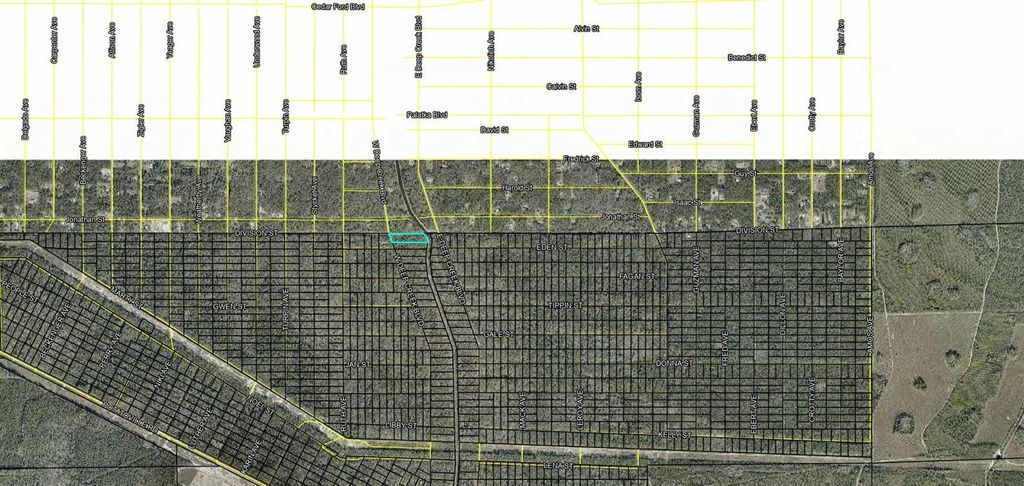 Photo of Xxx Division Street, Hastings, FL 32145 (MLS # FC317398)