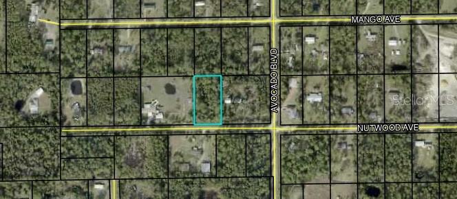 The Fema map had an X. However, it indicated it is a low flood zone area. But these maps change. It is recommended that the buyer do their own due diligence. Sales Contract can be subject to: A satisfactory flood zone confirmation. There are existing homes next door to property.