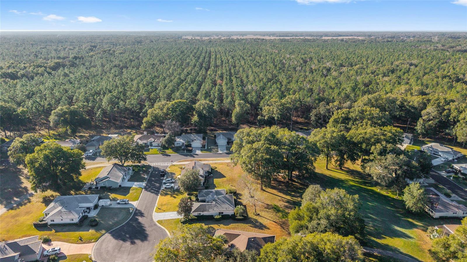 SPRUCE CREEK PRESERVE V - Residential