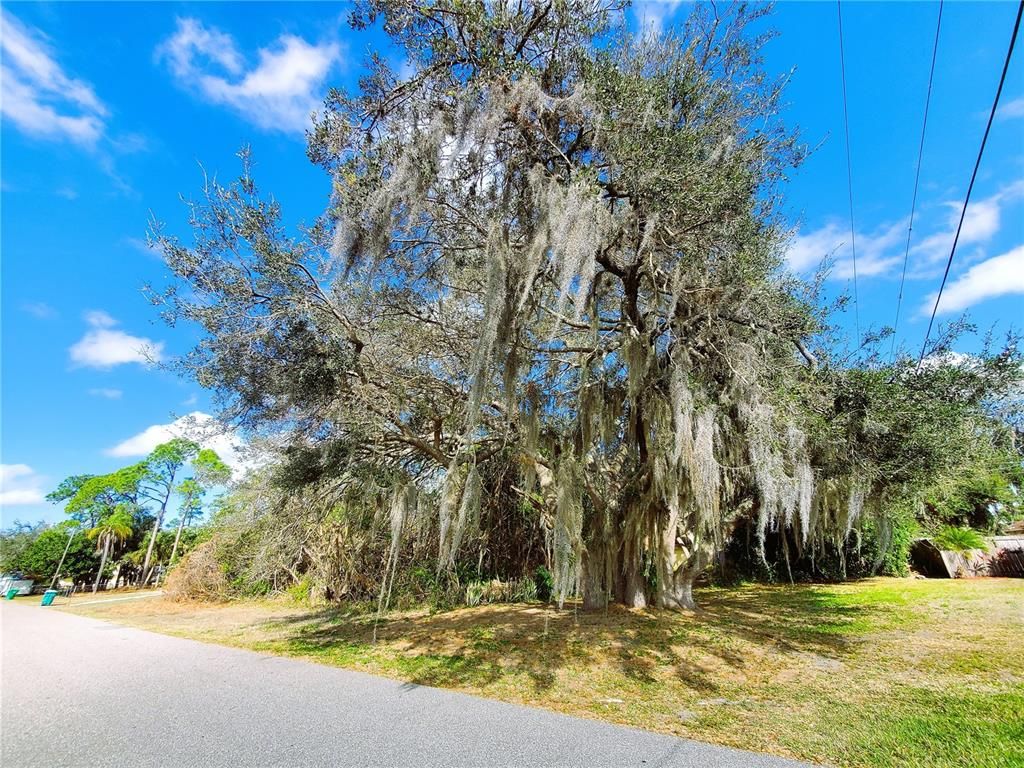 Photo of 22220 & 22228 Lockport Avenue, Port Charlotte, FL 33952 (MLS # C7455568)