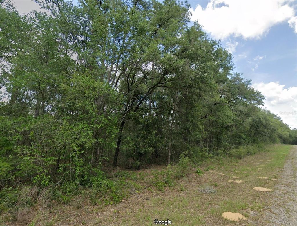 Photo of 737 E Byrd Loop, Dunnellon, FL 34434 (MLS # OM725339)