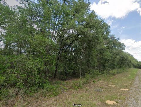 Photo of 737 E Byrd Loop, Dunnellon, FL 34434 (MLS # OM725339)