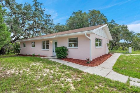 A home in SPRING HILL