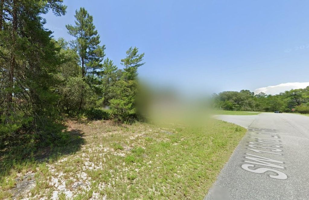 Photo of SW 29th Circle, Ocala, FL 34473 (MLS # A4676079)