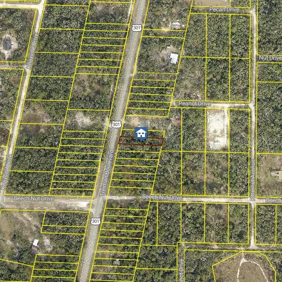 COMMERCIAL HIGHLANDS US 301 - Land