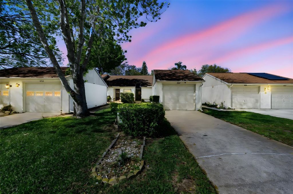 Photo of 11717 Spring Tree Lane, Port Richey, FL 34668 (MLS # TB8482203)