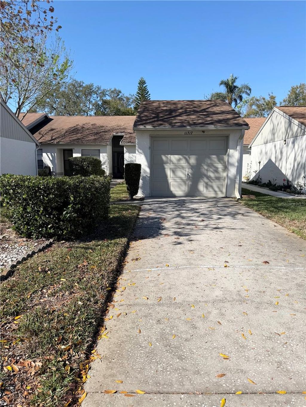 Photo of 11717 Spring Tree Lane, Port Richey, FL 34668 (MLS # TB8482203)