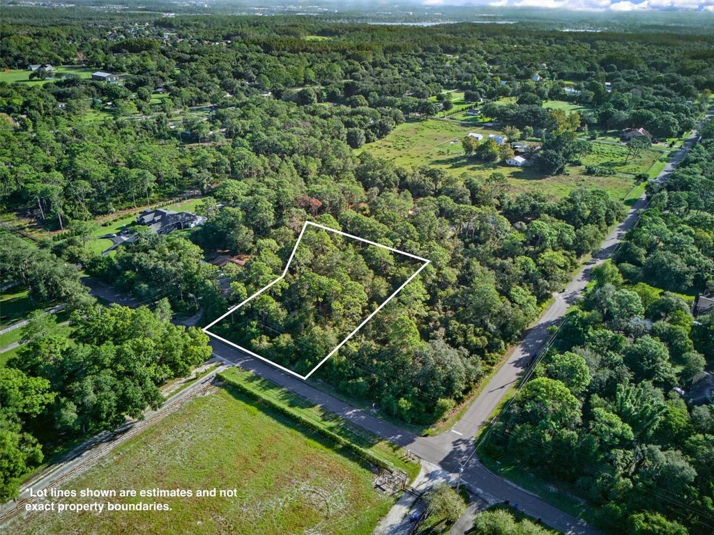 Photo of 19807 Hiawatha Road, Odessa, FL 33556 (MLS # L4965569)