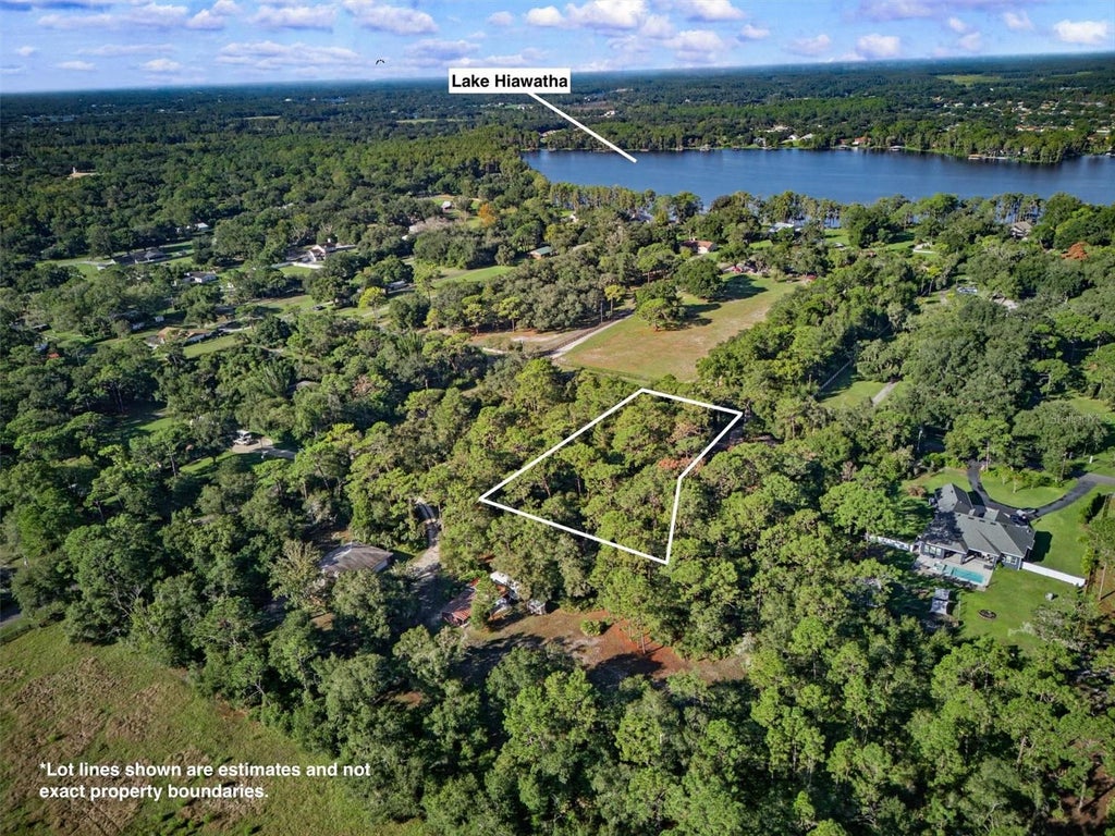 Photo of 19807 Hiawatha Road, Odessa, FL 33556 (MLS # L4965569)