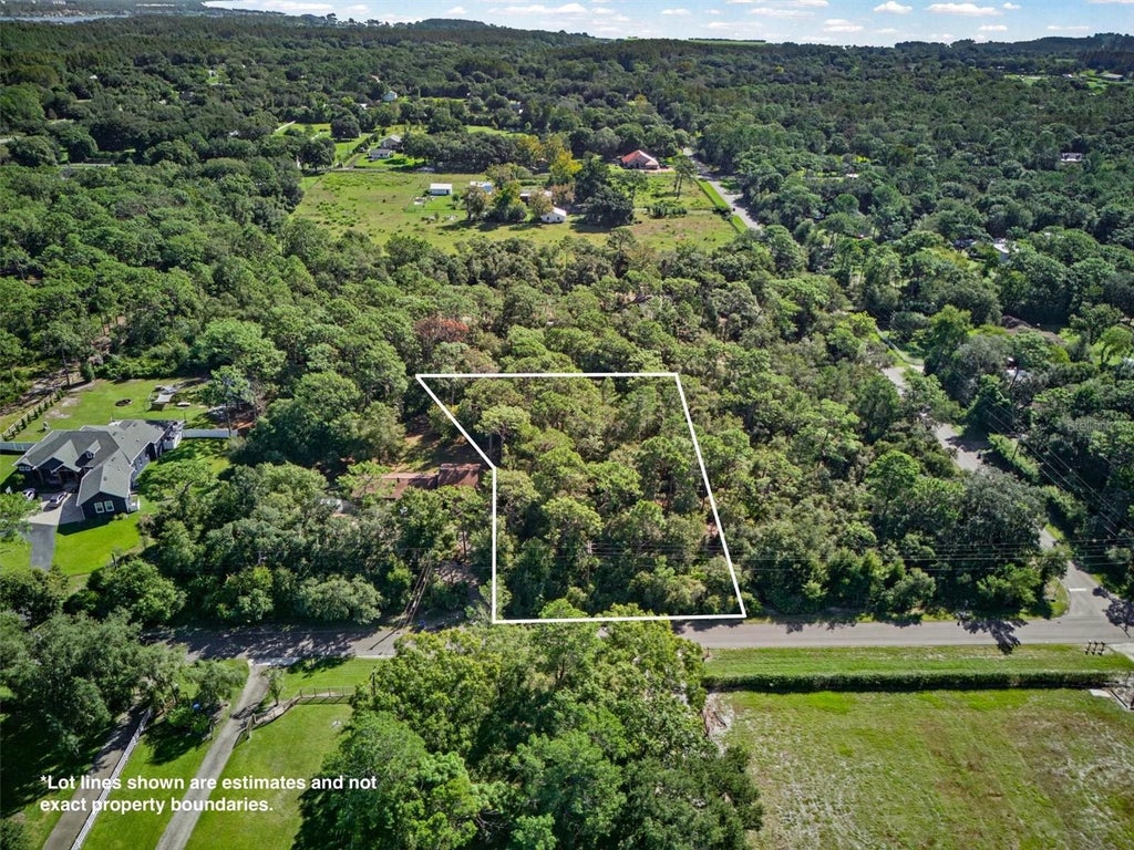 Photo of 19807 Hiawatha Road, Odessa, FL 33556 (MLS # L4965569)