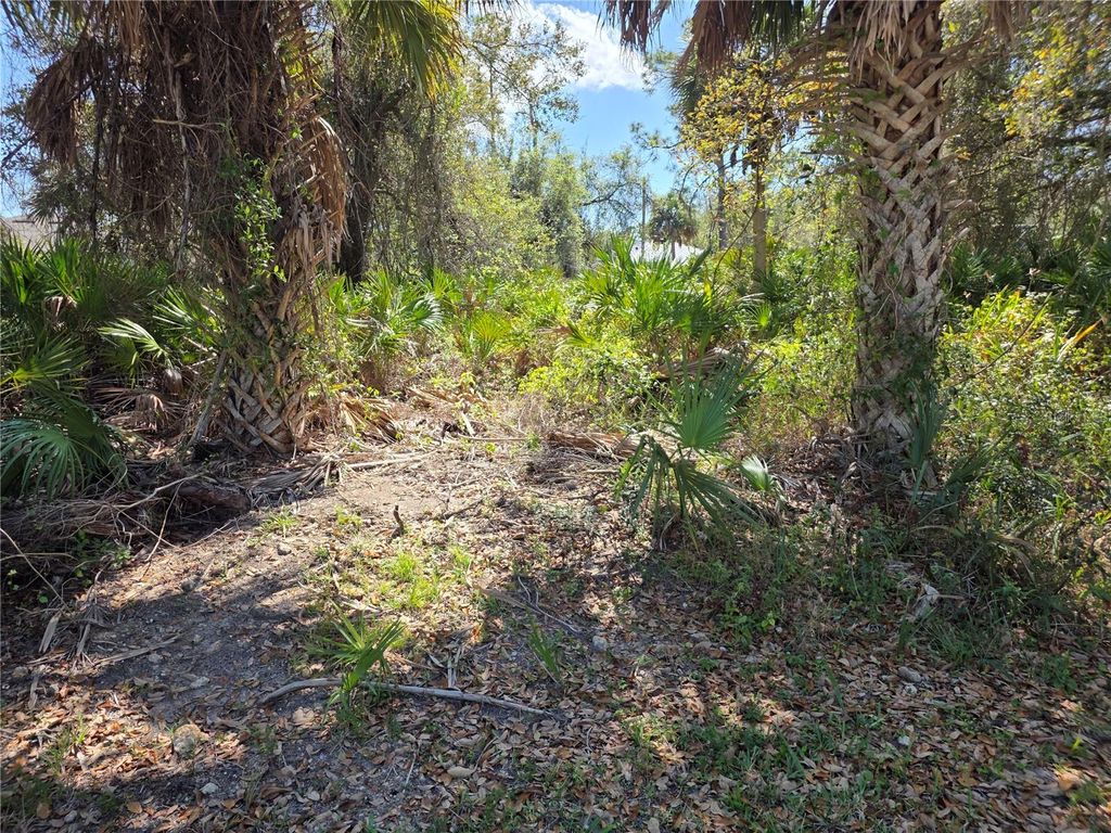 Photo of 18177 Poston Avenue, Port Charlotte, FL 33948 (MLS # D6146640)