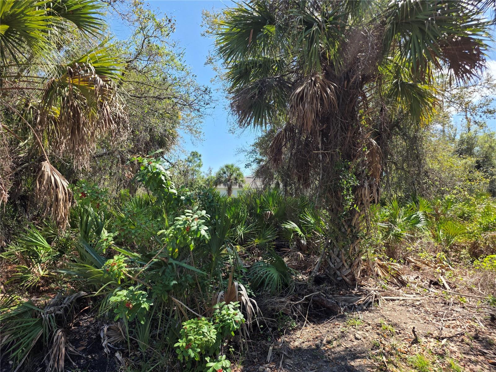 PORT CHARLOTTE SEC 008 - Land