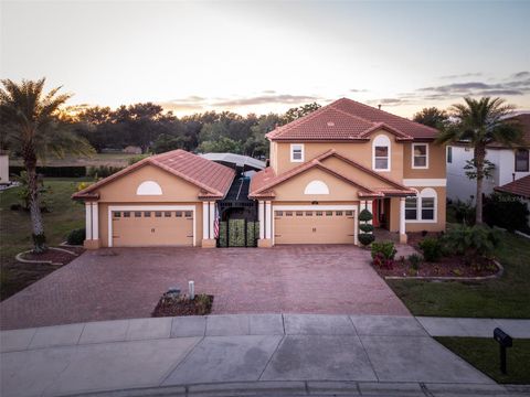 313 CRESTRUN LOOP LEESBURG FL 34748