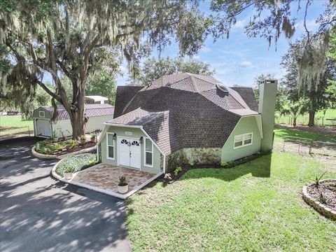 Photo of 10424 Lyons Avenue, Lithia, FL 33547 (MLS # TB8507283)