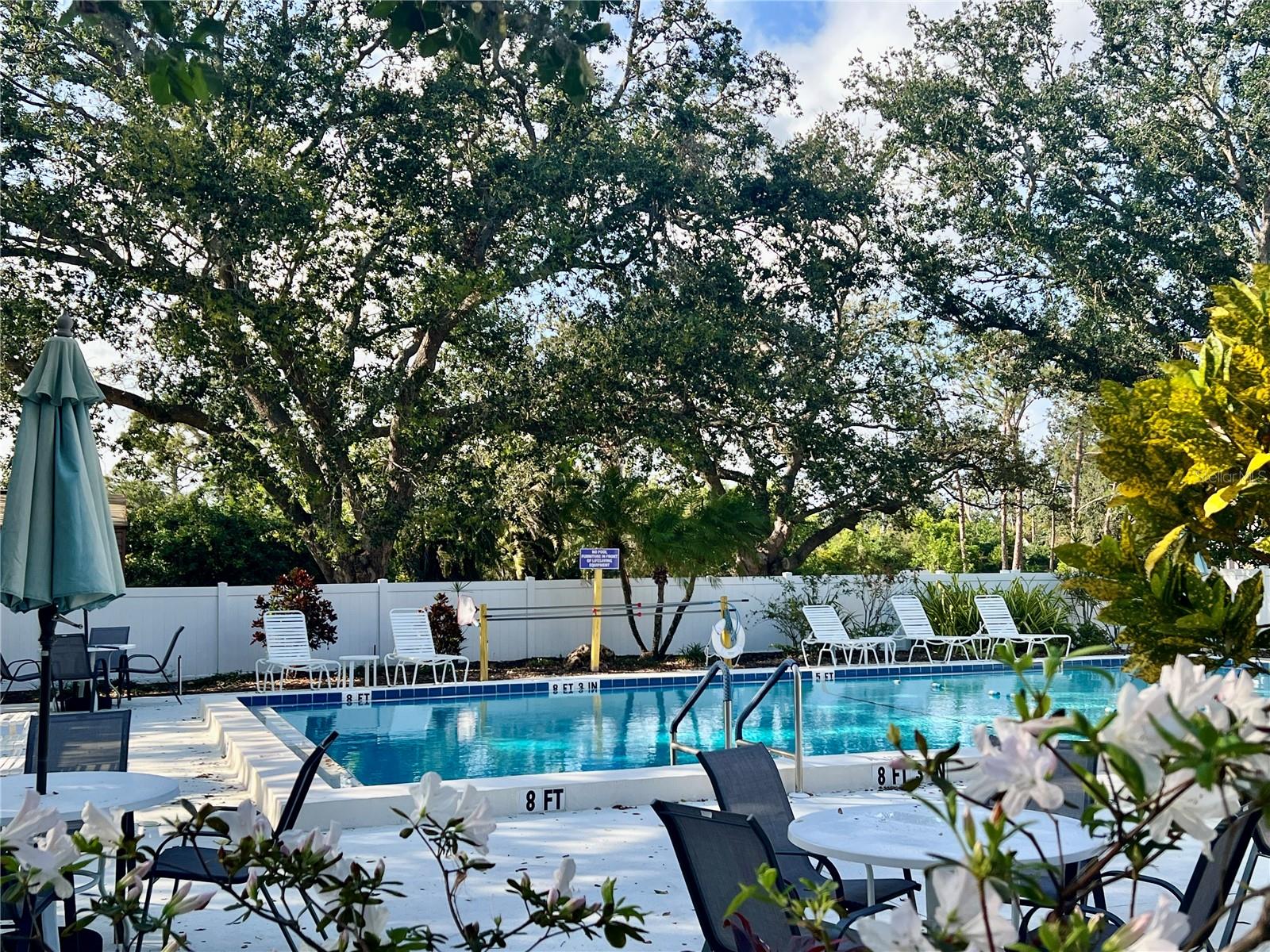 238 SOUTHAMPTON DRIVE 319