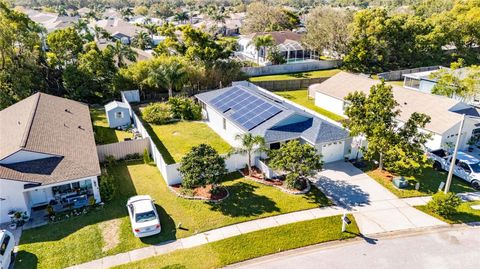 A home in LAND O LAKES