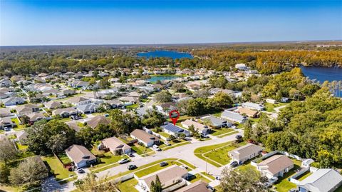 A home in LAND O LAKES