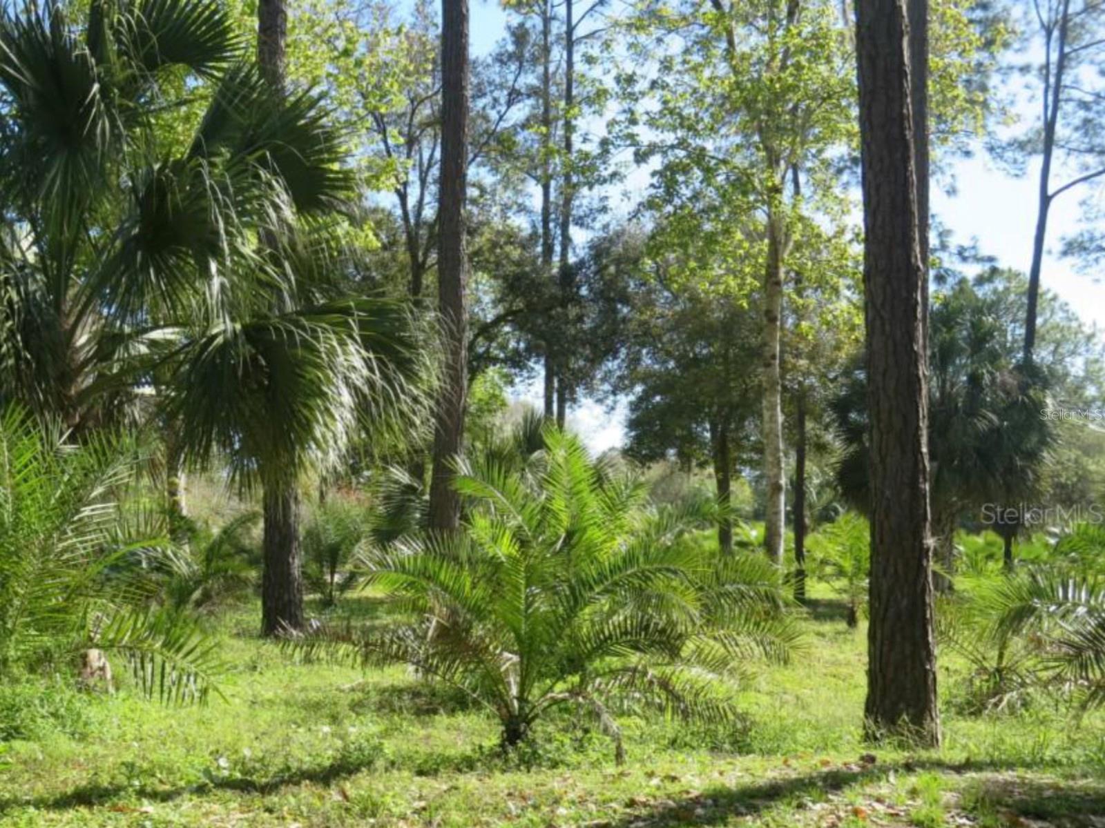 8674 SWEETWATER TRAIL