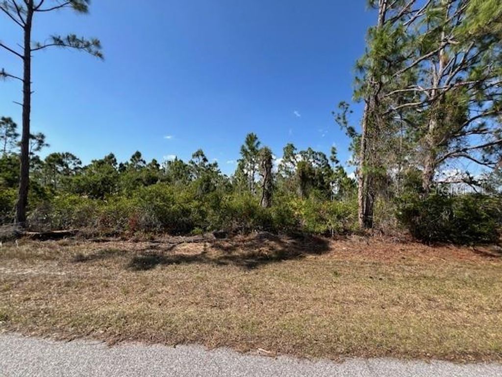 Photo of 12108 Benham Avenue, Port Charlotte, FL 33981 (MLS # O6295308)
