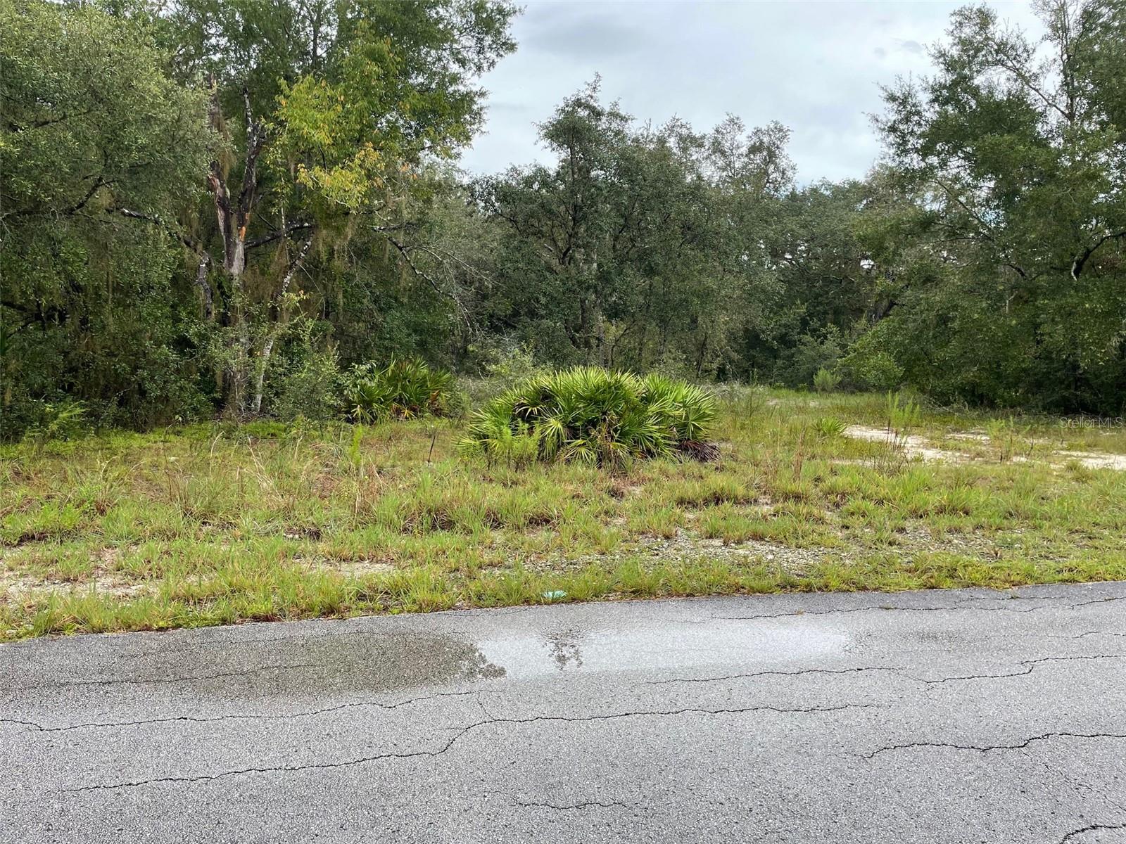AWESOME LAKE FRONT PROPERTY ON 0.67 ACRES LOCATED IN RAINBOW LAKES ESTATES WITH NO HOA OR TIME LIMIT TO BUILD (No Mobile Homes). PEACEFUL AND SERENE THIS HOMESITE IS NICELY TREED AND WOODED. WHAT A GREAT LOCATION TO BUILD YOUR DREAM HOME, VACATION HOME OR AIRBNB ON THE LAKE. IF YOU WISH, BUILD YOUR OWN PRIVATE DOCK OR BOAT RAMP. THIS UNIQUE LOT GIVES YOU ACCESS TO 2 LAKES AS IT IS SITUATED BETWEEN BONABLE LAKE AND TIGER LAKE GIVING YOU THE CHOICE OF EITHER LAKE FOR BOATING, FISHING OR KAYAKING RIGHT AT YOUR DOORSTEP! JUST IMAGINE ENJOYING THE BEAUTIFUL VIEW AND RELAXING LAKE-FRONT TAKING IN ALL THAT NATURE HAS TO OFFER AND OUR GREAT FLORIDA WEATHER. RAINBOW LAKES OFFERS MANY FEATURES INCLUDING 2 PLAYGROUNDS AND PARK, EXERCISE ROOM, COMMUNITY CENTER, BASEBALL FIELD, AND TENNIS AND BASKETBALL COURT. CONVENIENT TO DOWNTOWN DUNNELLON GREAT FOR QUAINT ANTIQUE SHOPS, RESTAURANTS AND SHOPPING, OCALA, GAINESVILLE, CRYSTAL RIVER, WORLD EQUESTRIAN CENTER FOR WORLD CLASS EQUESTIAN SPORT AND THE BEAUTIFUL CRYSTAL-CLEAR WATERS OF RAINBOW SPRINGS STATE PARK WHERE YOU CAN ENJOY SWIMMING, SNORKELING, TUBING AND PICNICING.***THE ADJOINING LOT NEXT DOOR IS ALSO AVAILABLE FOR SALE AT AN ADDITIONAL COST. THE 2 LOTS TOGETHER WOULD EQUAL 1.30 ACRES. BUY 1 OR BOTH LOTS***