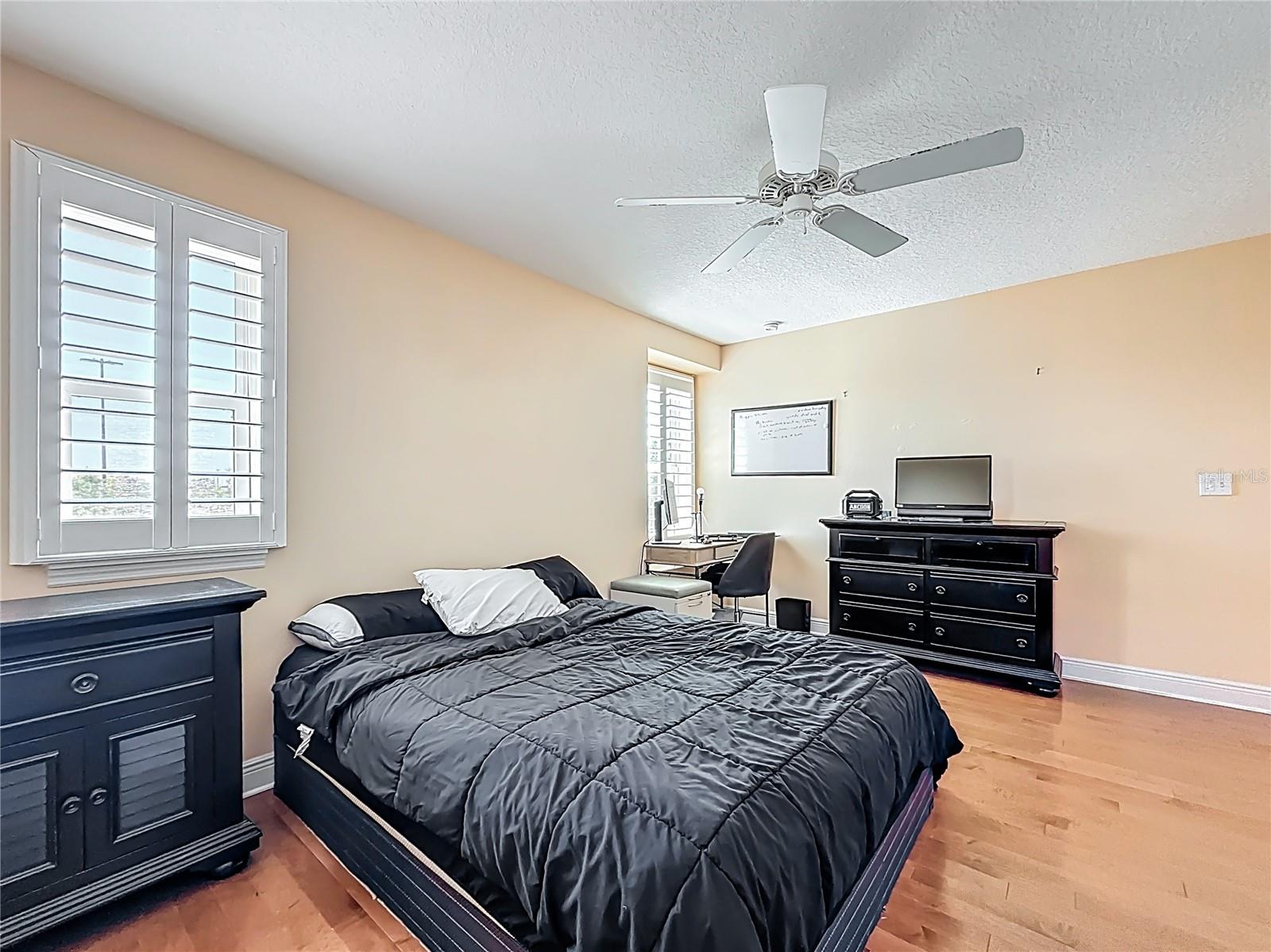 COVE AT BAY PINES - Residential