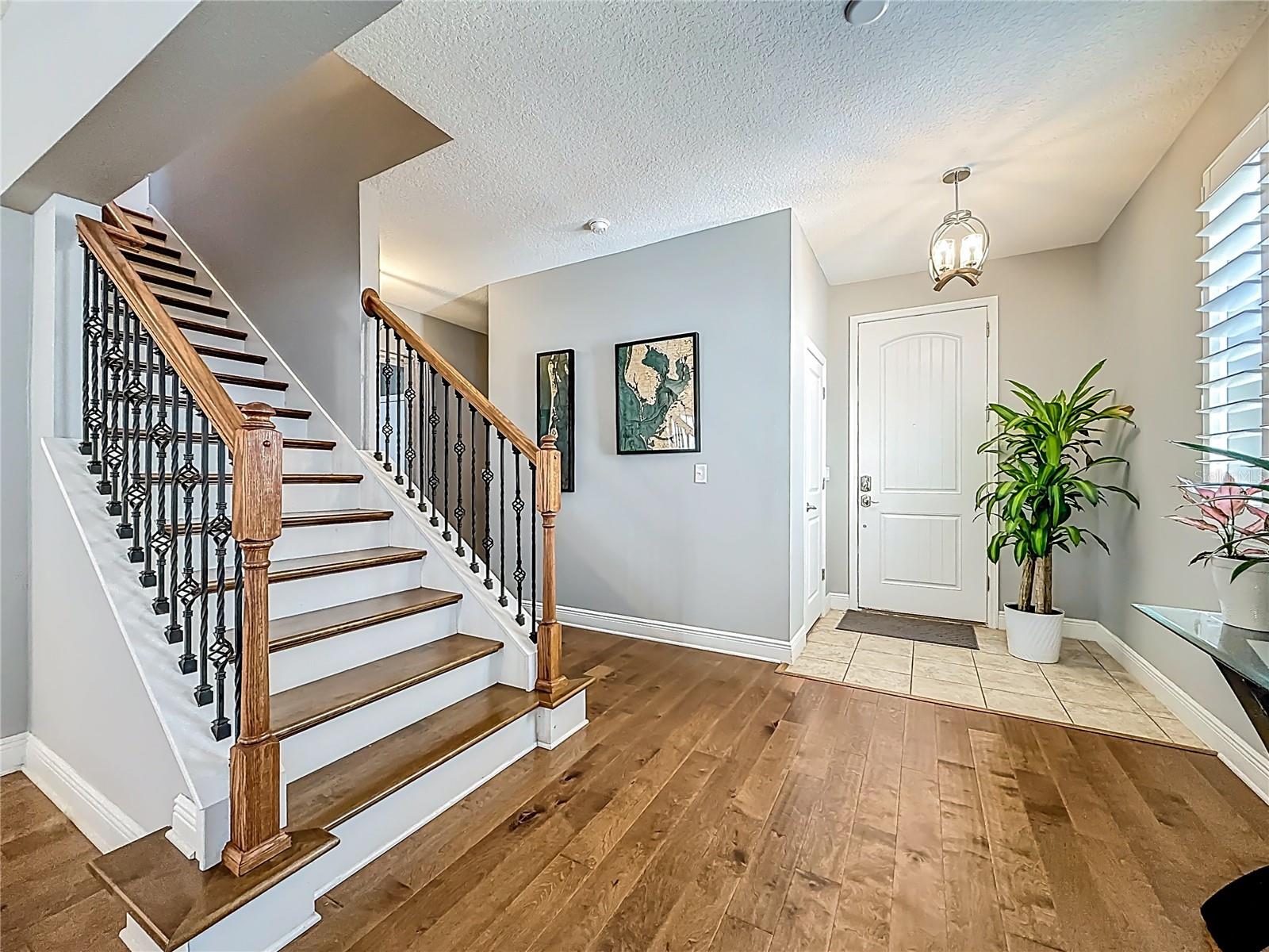 COVE AT BAY PINES - Residential