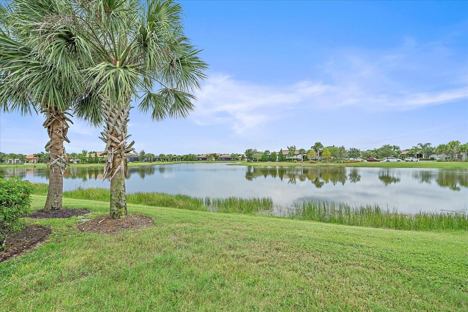 DEL WEBB PH II SUBPHASES 2A, 2B & 2C - Residential