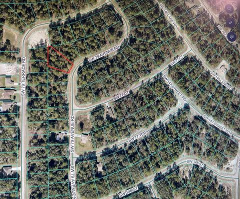 Tiny photo for 0 SW 79th Avenue Road SW, Ocala, FL 34473 (MLS # OM724656)