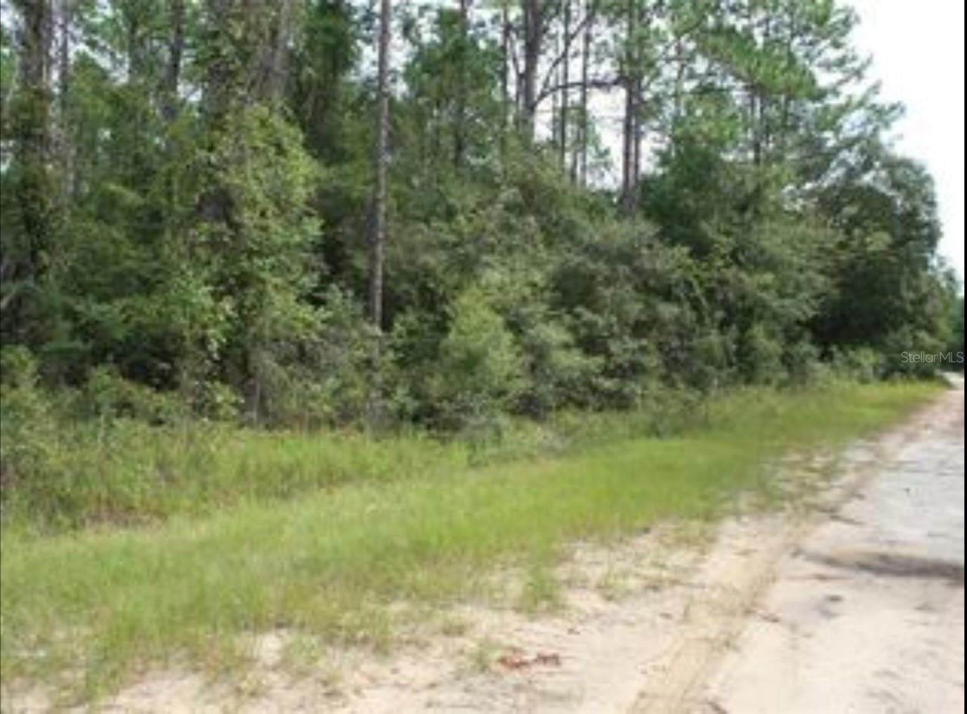 ORIGINAL NEWBERRY - Land