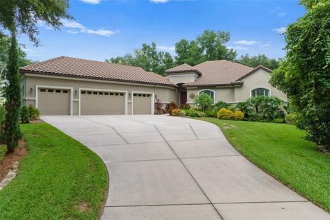 Photo of 2321 N Hickory Glen Point, Hernando, FL 34442 (MLS # TB8422760)