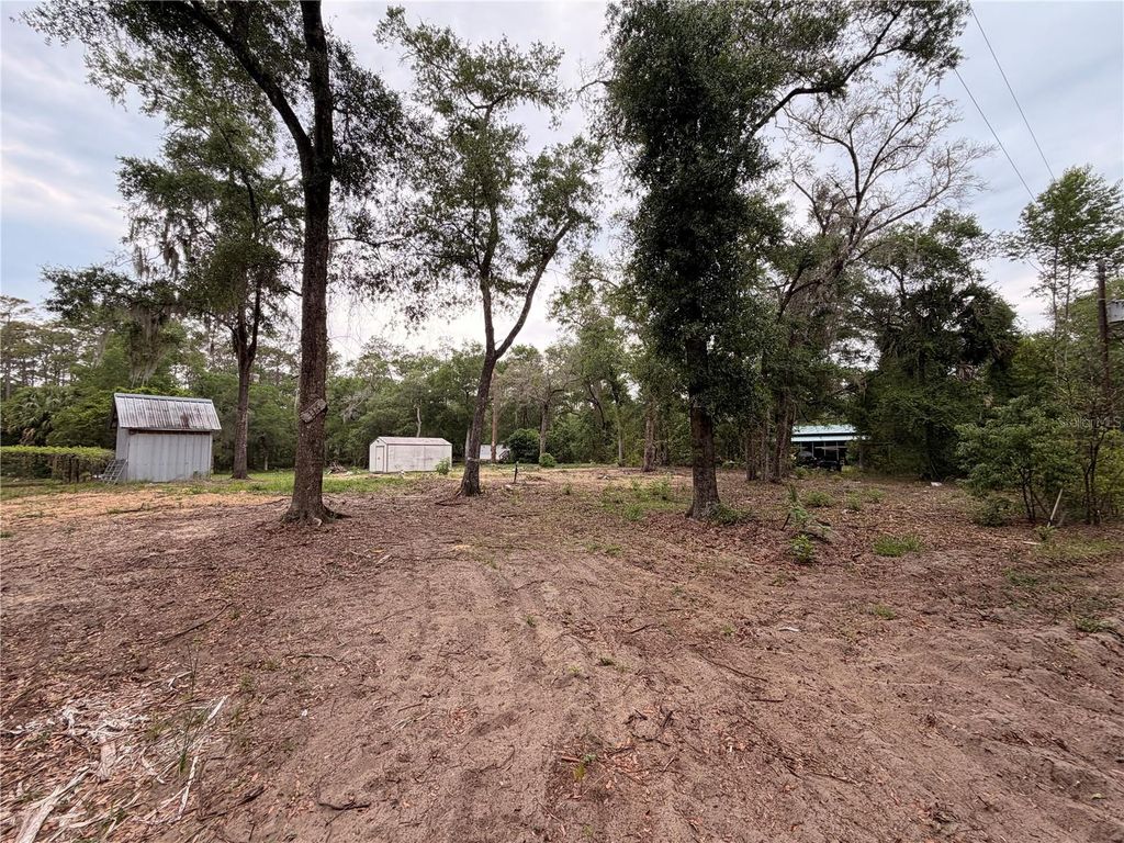 Photo of 117 Breezy Oak Lane, Fort Mccoy, FL 32134 (MLS # GC540221)