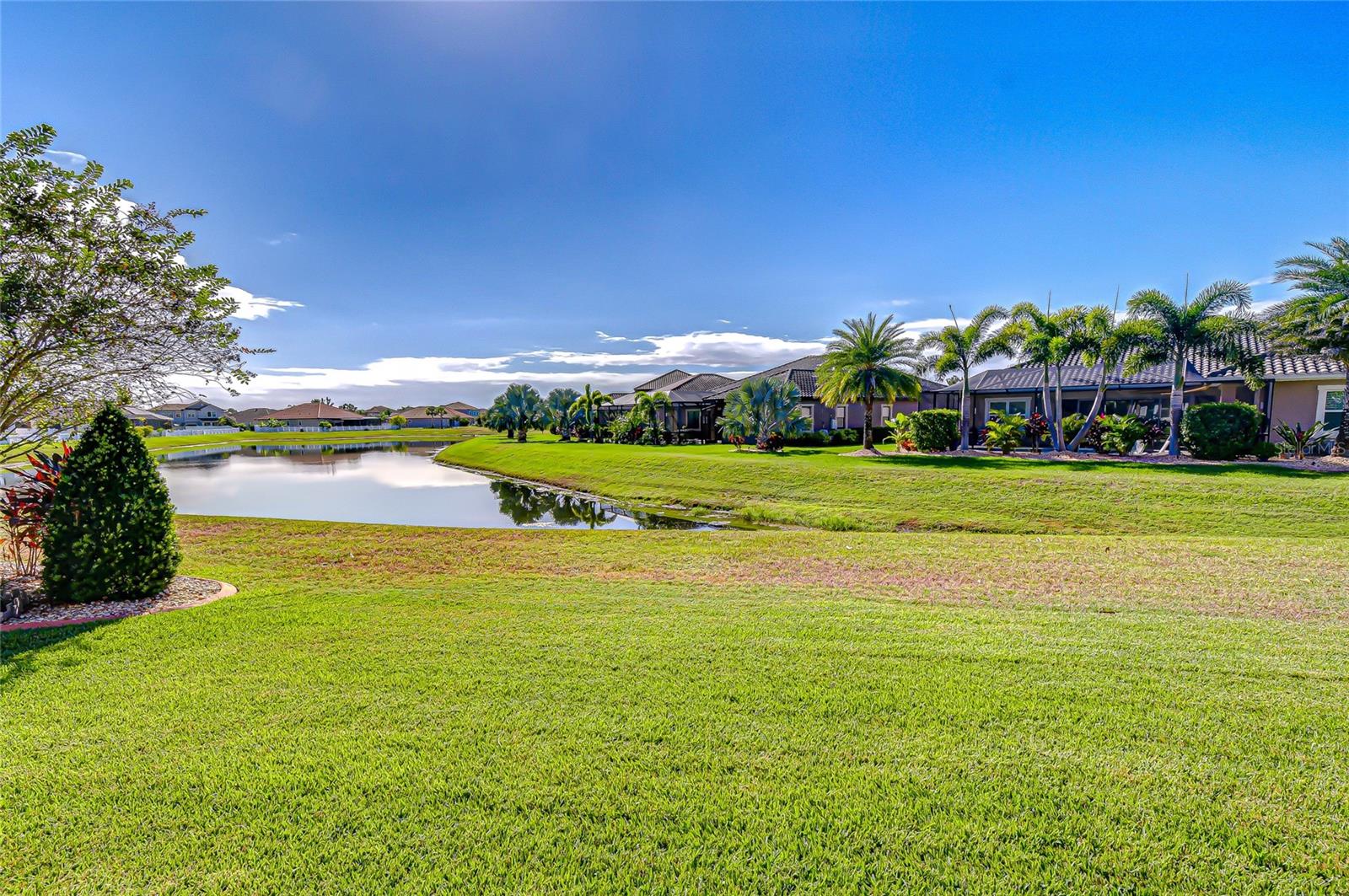 WATERLEAF - Residential