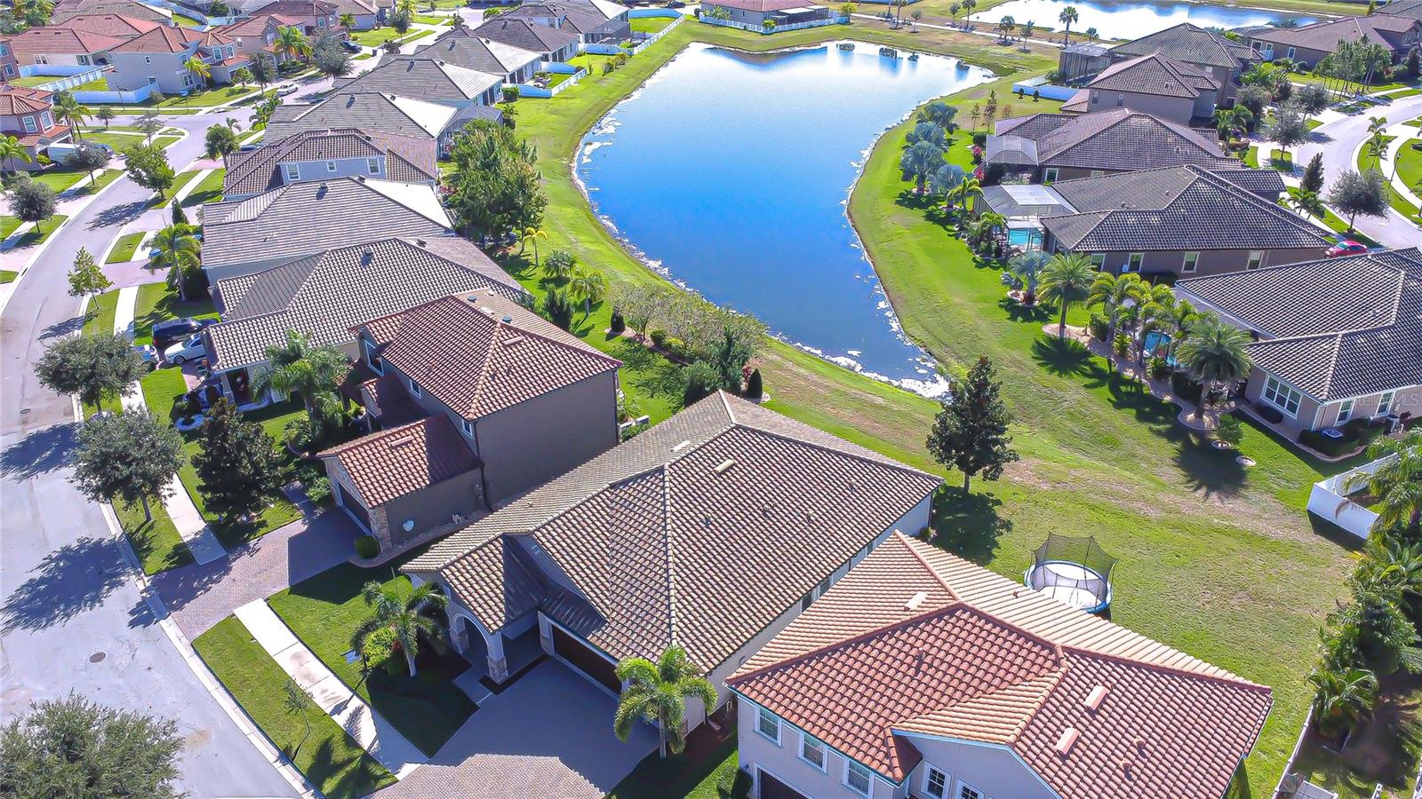 WATERLEAF - Residential